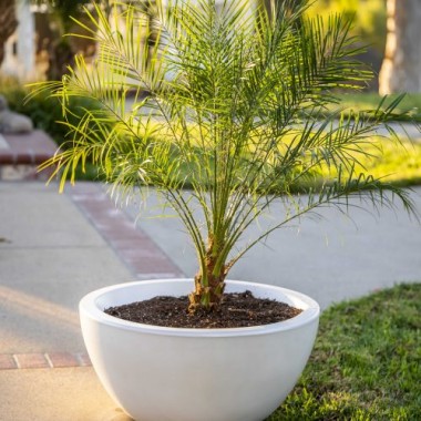 The Outdoor Plus Luna GFRC Planter Bowl
