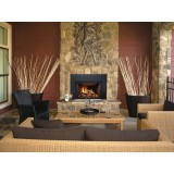  Sierra Flame Abbot 30 Gas Insert - Lifestyle 2