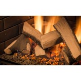  Sierra Flame Abbot 30 Gas Insert - Firestone Close-up