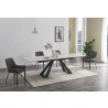 J&M Furniture Swan Extension Table 