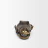 Mercana Alistair Antiqued Gold Cast Metal Decorative Skull Object  Front