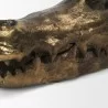 Mercana Alistair Antiqued Gold Cast Metal Decorative Skull Object 3 - Mercana Alistair Antiqued Gold Cast Metal Decorative Skull Object 3
