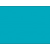 Strap Color - Turquoise