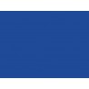 Strap Color - Royal Blue