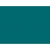 Strap Color - Teal