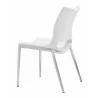 Zuo Modern Ace Dining Chair in White and Silver - Back Angled - Zuo Modern Ace Dining Chair in White and Silver - Back Angled