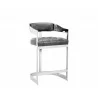 Sunpan Beaumont Counter Stool in Stainless Steel And Cantina Magnetite - Angled - Sunpan Beaumont Counter Stool in Stainless Steel And Cantina Magnetite - Angled