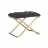 Coral Ottoman - Gold - Polo Club Kohl Grey - Angled - Coral Ottoman - Gold - Polo Club Kohl Grey - Angled