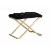 Coral Ottoman - Gold - Abbington Black - Angled - Coral Ottoman - Gold - Abbington Black - Angled