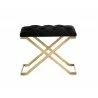 Coral Ottoman - Gold - Abbington Black - Front - Coral Ottoman - Gold - Abbington Black - Front