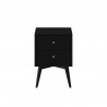 Alpine Furniture Flynn Mid Century Modern 2 Drawer Nightstand, Black - Front Angle