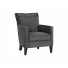 Aston Lounge Chair - Polo Club Kohl Grey / Overcast Grey - Angled - Aston Lounge Chair - Polo Club Kohl Grey / Overcast Grey - Angled