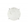 Sunpan Anak Side Table in White - Table Top View