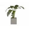 Sunpan Calix Planter - Front with Plant - Sunpan Calix Planter - Front with Plant