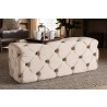 Jasmine Modern Contemporary Glam and Luxe Beige Velvet Fabric Upholstered Button Tufted Bench Ottoman - Lifestyle 2