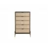 Sunpan Avida Chest in Gold and Black/Natural - Front - Sunpan Avida Chest in Gold and Black/Natural - Front