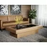 Sunpan Azelia Coffee Table in Camel Leather - Lifestyle 1 - Sunpan Azelia Coffee Table in Camel Leather - Lifestyle 1