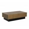 Sunpan Blakely Coffee Table in Antique Brass - Angled - Sunpan Blakely Coffee Table in Antique Brass - Angled