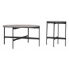 Zuo Modern Malo Coffee Table Set in Gray and Black - Side 