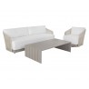 Sunpan Allariz Sofa in Greige and Stinson White - With Set