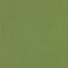 Spectrum Cilantro - Spectrum Cilantro