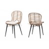 Baxton Studio Brenna Modern Bohemian Greywashed Rattan and Black Metal Dining Chair - Set of Two - Front Side and Back Side Angle
