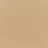 Canvas Camel - Canvas Camel