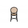 Baxton Studio Ayana Mid-Century Modern Two-Tone Black and Natural Brown Rattan Dining Chair - Back Angle