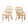 Baxton Studio Sumatera Modern Bohemian Natural Brown Rattan 2-Piece Dining Chair Set - Front Side and Back Side Angle