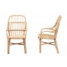 Baxton Studio Sumatera Modern Bohemian Natural Brown Rattan 2-Piece Dining Chair Set - Front and Side Angle