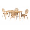 Baxton Studio Iris Modern Bohemian Natural Brown Rattan 5-Piece Dining Set - Set in Front Side Angle