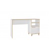 Minetta 2-Shelf Mid Century Office Desk in White - White BG