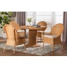 Baxton Bali and Pari Willy 5-piece Rattan Dining Set