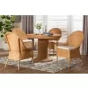 Baxton Bali and Pari Willy 5-piece Rattan Dining Set - Baxton Bali and Pari Willy 5-piece Rattan Dining Set