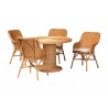 Baxton Bali and Pari Wistan 5-piece Rattan Dining Set - White BG