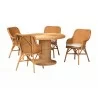 Baxton Bali and Pari Wistan 5-piece Rattan Dining Set - White BG - Baxton Bali and Pari Wistan 5-piece Rattan Dining Set - White BG