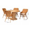 Baxton Bali and Pari Wistan 5-piece Rattan Dining Set - Dimensions