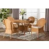 Baxton Bali and Pari Tyrone 5-piece Rattan Dining Set - Baxton Bali and Pari Tyrone 5-piece Rattan Dining Set