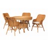 Baxton Bali and Pari Tucson 5-piece Rattan Dining Set - White BG