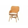 Baxton Bali and Pari Tucson Rattan - Chair - Baxton Bali and Pari Tucson Rattan - Chair