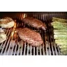 Sole Gourmet 26" Built In Grill Natural Gas Turbo Replacement Grill 006 - Sole Gourmet 26" Built In Grill Natural Gas Turbo Replacement Grill 006