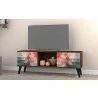 Manhattan Comfort Doyers 53.15 Mid-Century Modern TV Stand in Multi Color Red and Blue - Manhattan Comfort Doyers 53.15 Mid-Century Modern TV Stand in Multi Color Red and Blue