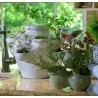 Alfresco Home Six Pocket Ceramic Strawberry Jar - Lace - Lifestyle - Alfresco Home Six Pocket Ceramic Strawberry Jar - Lace - Lifestyle