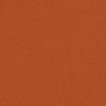 Canvas Rust
