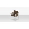 Source Furniture Vines Dining Arm Chair Tan High Angle