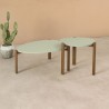 Manhattan Comfort Mid-Century Modern Gales End Table and Coffee Table with Solid Wood Legs Pistachio Green