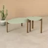 Manhattan Comfort Mid-Century Modern Gales End Table and Coffee Table with Solid Wood Legs Pistachio Green - Manhattan Comfort Mid-Century Modern Gales End Table and Coffee Table with Solid Wood Legs Pistachio Green
