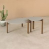 Manhattan Comfort Mid-Century Modern Gales End Table and Coffee Table with Solid Wood Legs Greige