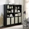 Manhattan Comfort Sheridan Modern Cane Bookcase with Adjustable Shelves - Set of 2 Black - Manhattan Comfort Sheridan Modern Cane Bookcase with Adjustable Shelves - Set of 2 Black