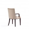Manhattan Comfort Shubert Modern Faux Leather and Velvet Dining Armchair in Tan Back Angle